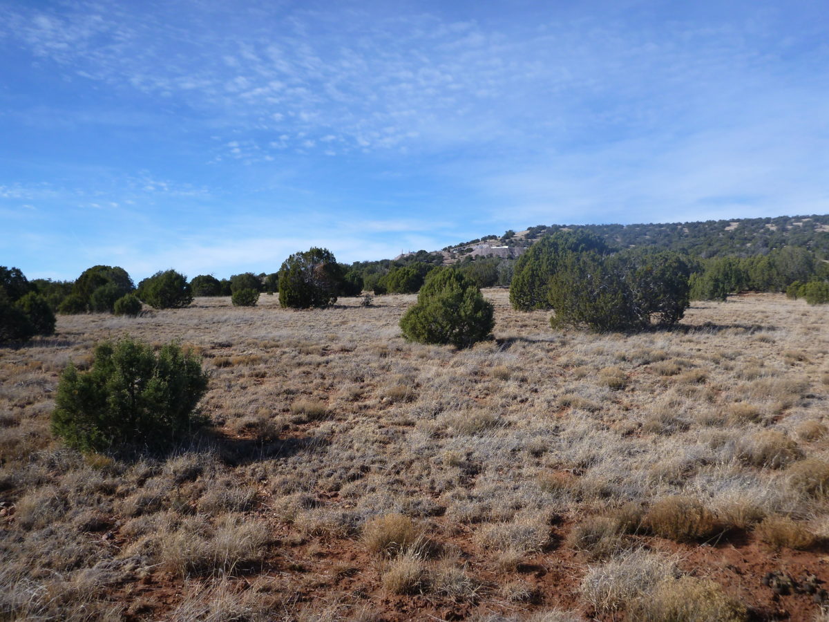 SOLD – 1.2 acres in Show Low Pines, Arizona! – TDX LAND